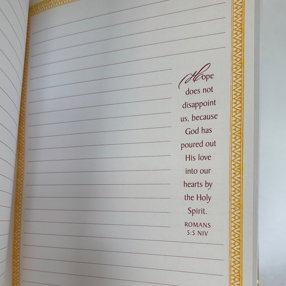 BRAND NEW !! ELEGANT DAYSPRING 2009 BROWN & GOLD JOURNAL - A GREAT GIFT IDEA - Picture 4 of 12